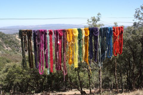 Multi-colored dyed skeins of yarn hanging out to dry